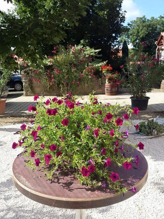 Borostyankert Etterem & Vendeghaz Hotel Sitke Luaran gambar