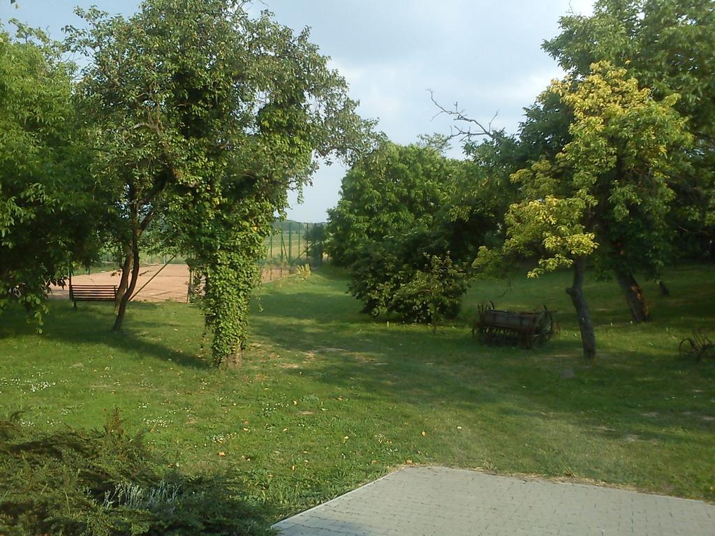 Borostyankert Etterem & Vendeghaz Hotel Sitke Luaran gambar